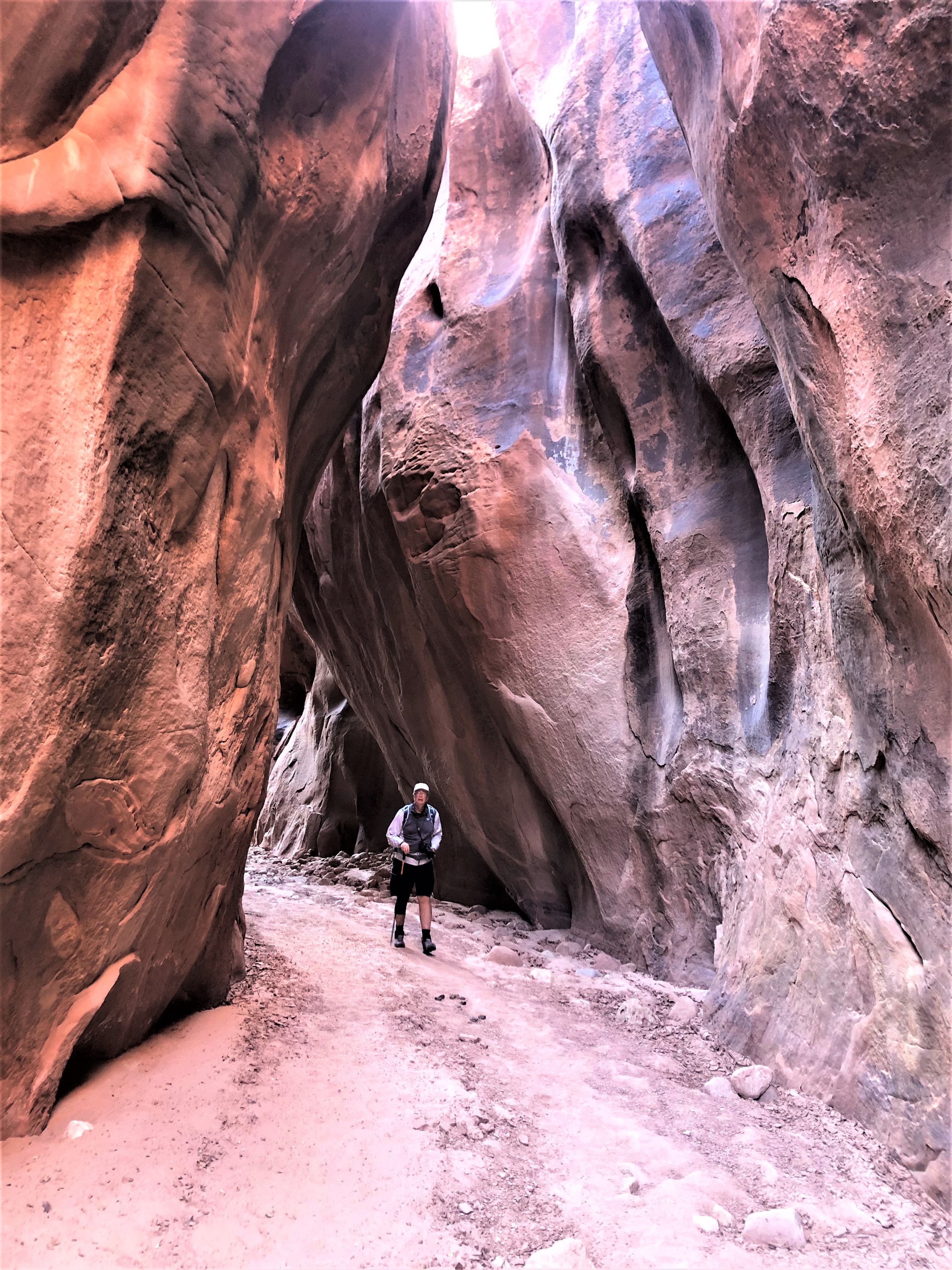 Vermillion Cliffs NM